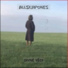 allskapones