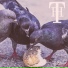 FTH