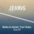 Biella, Toni Vidas, Astrall