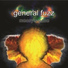 general fuzz