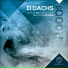 D. Dachs