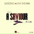 Duoscience, Dave Shichman