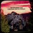 The Explorers Club