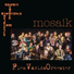 Flen världsorkester, Flen Worldorchestra