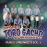 Tamborazo Toro Gacho