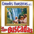 Los Huastecos de Oro