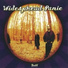 Widespread Panic