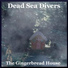 Dead Sea Divers