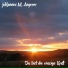 JoHannes M. Angerer