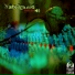 XplodMusiq