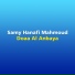 Samy Hanafi Mahmoud