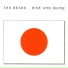 Adrian Belew and The Bears