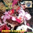 Eddie Calvert