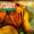 William Vivanco, Robert Aaron