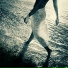 David Walter