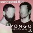 Pongo