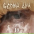 B13