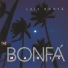 Luiz Bonfa