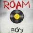 RoamBoy