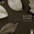 Raytek