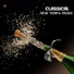 New Year's Classical Music Celebration