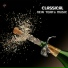 New Year's Classical Music Celebration