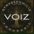 Voiz
