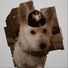 Derkaiserhund