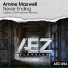 Record Trance Amine Maxwell