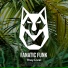 Fanatic Funk