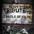 String Tribute Players