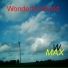 W MAX