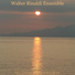 Walter Rinaldi Ensemble