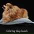Dog Relaxation Zone