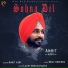 Amrit Arry