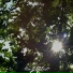 Chorus Of Being
