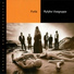 Ryfylke Visegruppe