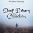 Buddha Room & Sleep Songs Divine