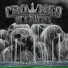 Crowned Kings