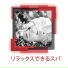 リラックスした音楽のアカデミー