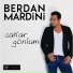 Berdan Mardini