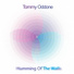 Tommy Oddone