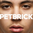 Petbrick