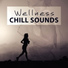 Spa Chillout Music Collection