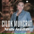Nenty Ardillah