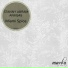 Stanny Abram, ARMS45