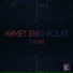 Ahmet Enes Polat