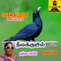Thanjai Selvi