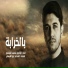 الرادود محمد الجنامي
