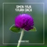 Simon Fava, Yvvan Back